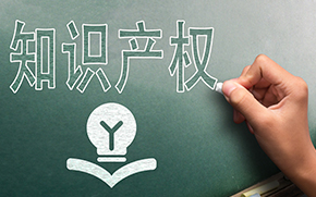 Intellectual Property